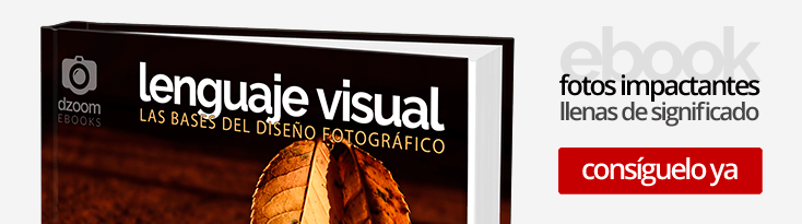 Lenguaje Visual: las Bases del Diseño Fotográfico